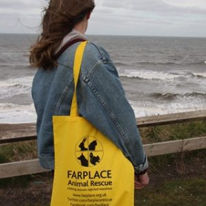 Deluxe Farplace tote bag