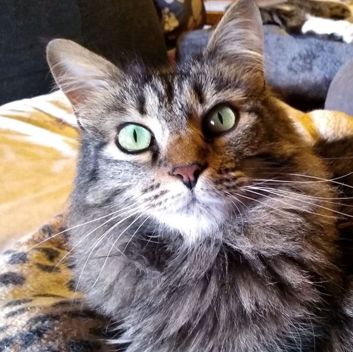 Pic of Maisie