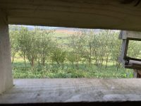 View from Bird Hide