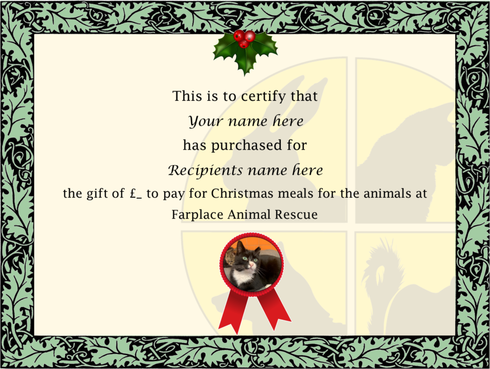 christmas cert