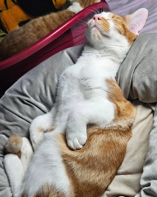 Relax